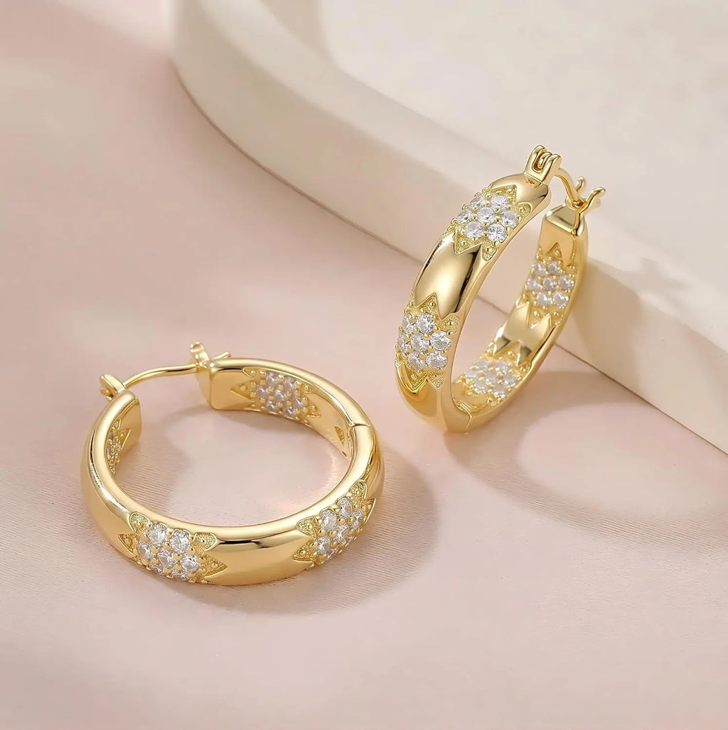 14K Gold Hoop Gold Earrings